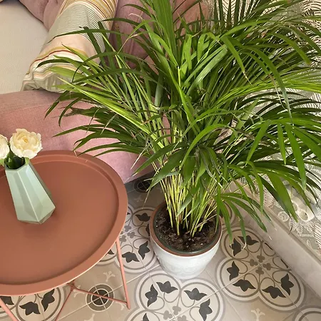 Jema Bajondillo Junto A La Playa Διαμέρισμα *